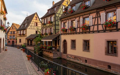 Colorful half-timbered houses along a canal in Alsace France - charming region for dating