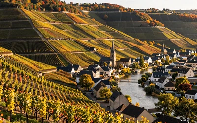 Luxembourg Moselle Valley vineyards with charming village and autumn light